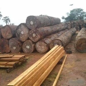 Okan Wood for Sale