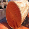 African Padauk Wood For Sale