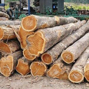 High-Quality Teak Wood for Sale