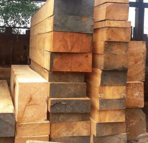 tali wood and logs supplier