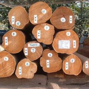 burma teak wood for sale