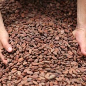 cocoa bean mulch for sale near me