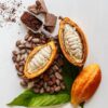 cocoa bean seeds for sale