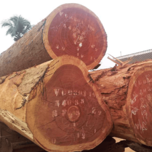 sapele wood for sale in UK